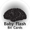 Baby Flash Bit Cards