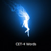CET-4 Words