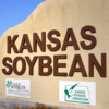 Kansas Soybean