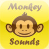 Monkey Sound