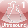 Diagnostic Ultrasound Video Clips #1 Normal Heart