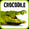 Crocodile Bible