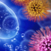 Flu News - Free H1N1, Bird, Swine Influenza Virus Vaccine & Health Info