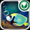 Fish Challenge For iPad