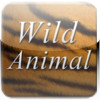 Animals App