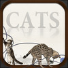 Cats - Tap n Swipe guide to Cat Breeds