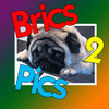 Brics 2 Pics