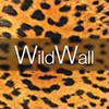 Wild WallPaper and Themes for iOS 7