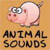 Animal Sounds Learning for Kids