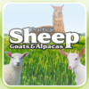 Sheep, Goats & Alpaca Magazine