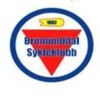 Brumunddal SK App