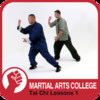 Tai Chi Qi Gong Lessons 1 - M.A.C. Martial Arts College