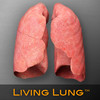 Living Lung - Lung Viewer