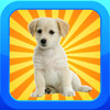 Memory Puppies - A Dog Matching Game!