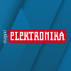 Magyar Elektronika