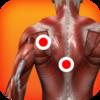 Trigger Points of Muscle
