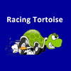 Racing Tortoise
