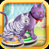 Cats On Roombas - HD Free Top Racing game