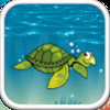 A Turtle Flap Rush - Tiny Jumpy Blue Pcean