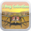 4D iBug Collection