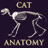 Bryan Edwards Cat Anatomy Flash Cards