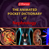 Nephrology - Animated Pocket Dictionary series (Focus Apps)