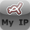 My IP Address Light