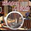 hidden Objects'