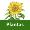 Plantas y flores. Enciclopedia Visual de las Preguntas