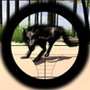 Wulves Hunting PRO