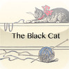 Black Cat Stories