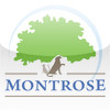 Montrose Animal Hospital