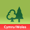 Cymru ForestXplorer Wales