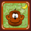 Monkey Jungle Maze (catch the banana)