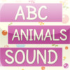 KIDS ANIMALS & LETTERS