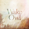 Wake Owl