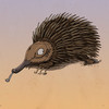 The Echidna and the Dress Interactive Storybook