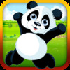 Panda Air Jam - Panda Bear Racing Game