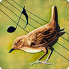 Birds Voices - Interactive Kids Book