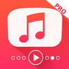 Play Tube Pro - Playlist manager and music player for Youtube