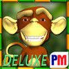 Monkey Money Slots Deluxe