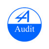 4A Audit