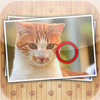 Find Photo Differences Cats for iPad Free
