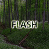 Flash App!