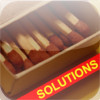 Matchsticks with solutions
