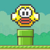 Punchy Bird : The guy in the pipe