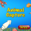 Animal Capture Free
