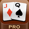 Pinochle Pro - Play Pinochle With Animated Characters