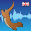 English Pronunciation - Otterwave