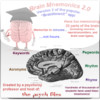 Brain Mnemonics 2